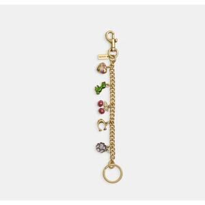 Coach Motif Chain Bag Charm In Metal/Brass/Multi Heart Cherry C CN119 NWT